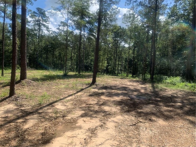 18384 Sanders Rd, Franklinton, LA 70438 - photo 13