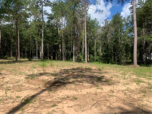 18384 Sanders Rd, Franklinton, LA 70438 - photo 14