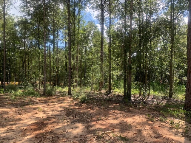 18384 Sanders Rd, Franklinton, LA 70438 - photo 15
