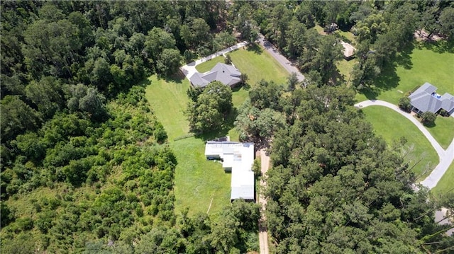29063 Henry White Rd, Albany, LA 70711 - photo 30