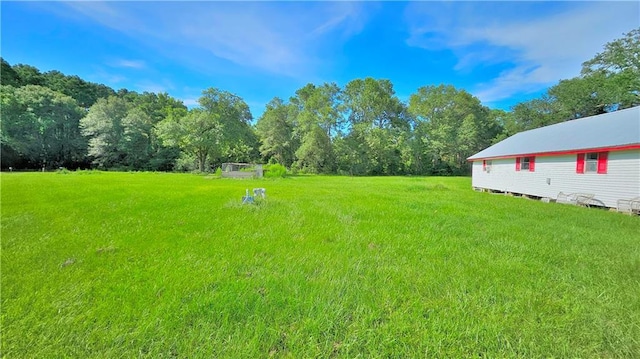 29106 Murry Rd, Elton, LA 70532 - photo 5