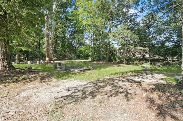 240 Charles Sinagra Ave, Independence, LA 70443 - photo 16