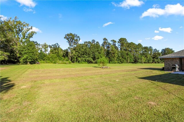 30405 Stewart Rd, Albany, LA 70711 - photo 23