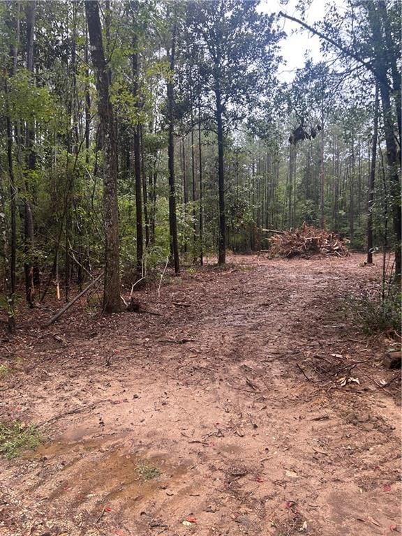 S Bennett Rd, Loranger, LA 70446 - photo 1