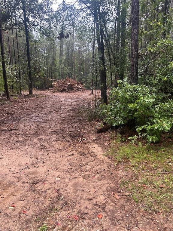 S Bennett Rd, Loranger, LA 70446 - photo 2