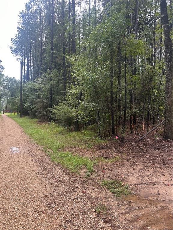 S Bennett Rd, Loranger, LA 70446 - photo 3