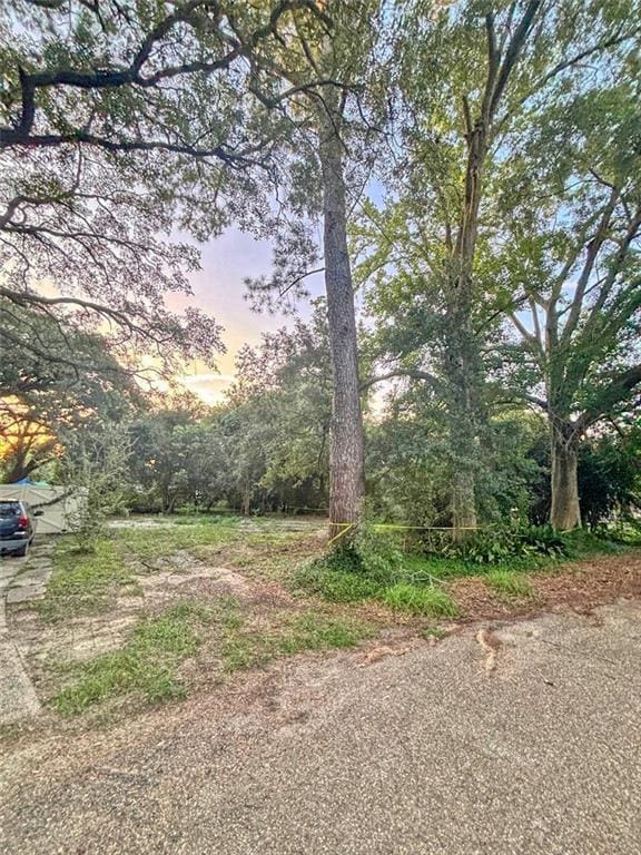 1518 Goldenrod Ave, Baton Rouge, LA 70808 - photo 2
