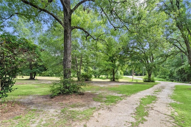 72685 Fitzsimons Rd, Covington, LA 70433 - photo 19