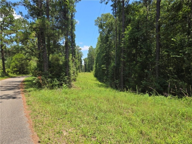 0 Cressionnie Rd, Carriere, MS 39426 - photo 1