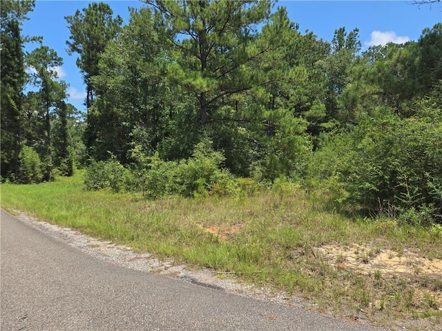 0 Cressionnie Rd, Carriere, MS 39426 - photo 3