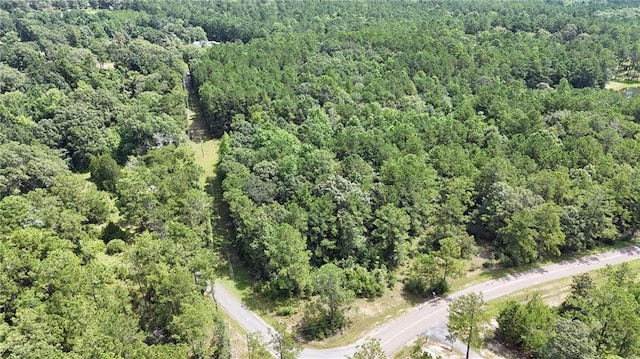 0 Cressionnie Rd, Carriere, MS 39426 - photo 4