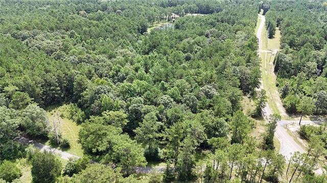 0 Cressionnie Rd, Carriere, MS 39426 - photo 5
