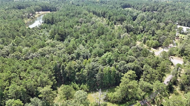 0 Cressionnie Rd, Carriere, MS 39426 - photo 6
