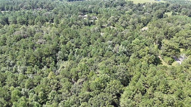 0 Cressionnie Rd, Carriere, MS 39426 - photo 8