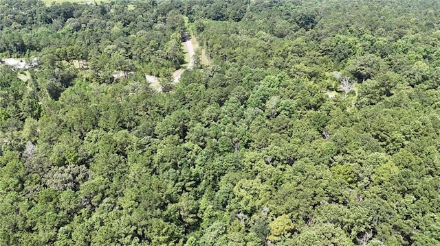 0 Cressionnie Rd, Carriere, MS 39426 - photo 9