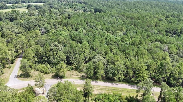 0 Cressionnie Rd, Carriere, MS 39426 - photo 12
