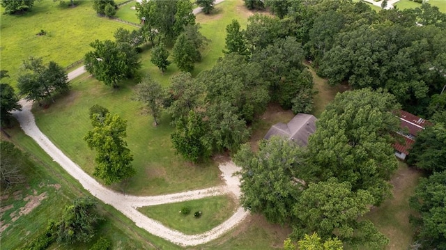 21440 Wallace King Rd, Bush, LA 70431 - photo 4