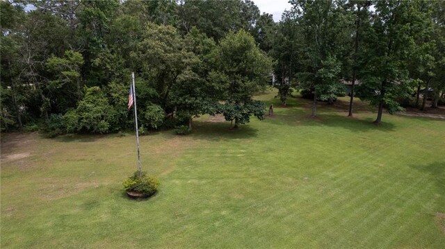 21440 Wallace King Rd, Bush, LA 70431 - photo 22