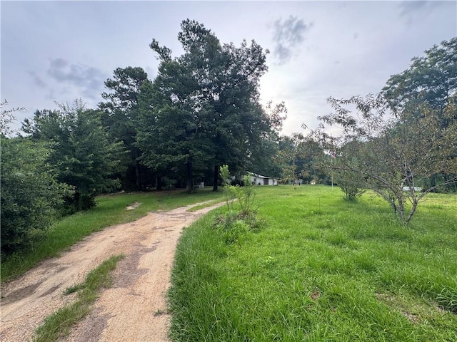 26354 C Jenkins Rd, Angie, LA 70426 - photo 3