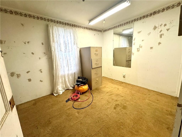 26354 C Jenkins Rd, Angie, LA 70426 - photo 9