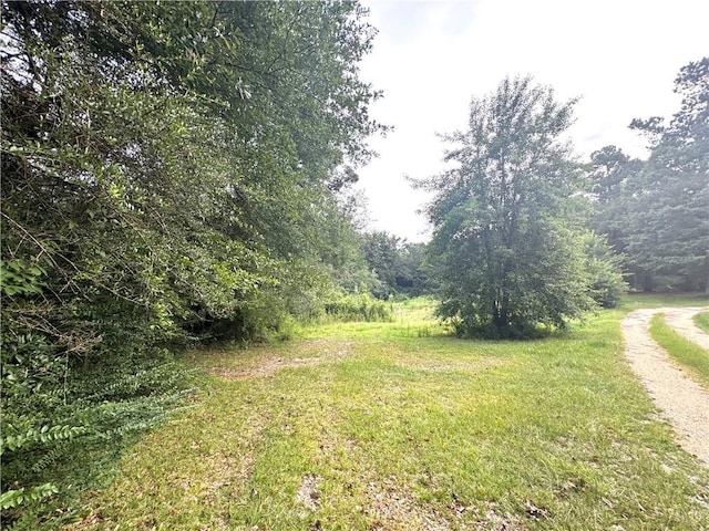 26354 C Jenkins Rd, Angie, LA 70426 - photo 14