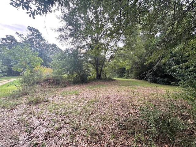 26354 C Jenkins Rd, Angie, LA 70426 - photo 15
