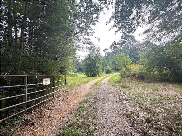 26354 C Jenkins Rd, Angie, LA 70426 - photo 16