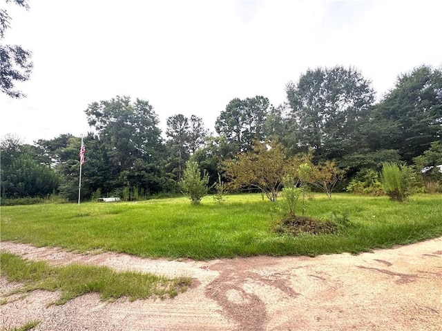 26354 C Jenkins Rd, Angie, LA 70426 - photo 18