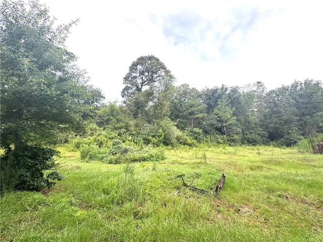 26354 C Jenkins Rd, Angie, LA 70426 - photo 19