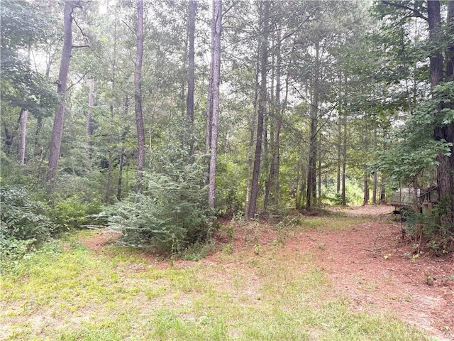 26354 C Jenkins Rd, Angie, LA 70426 - photo 20