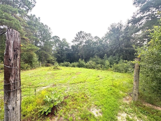 26354 C Jenkins Rd, Angie, LA 70426 - photo 22