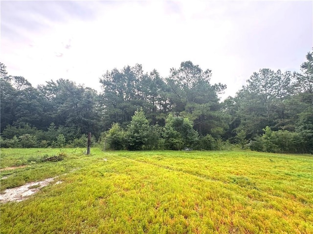 26354 C Jenkins Rd, Angie, LA 70426 - photo 23