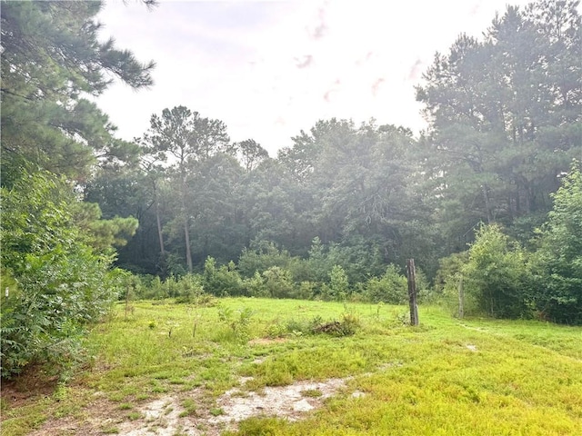 26354 C Jenkins Rd, Angie, LA 70426 - photo 24