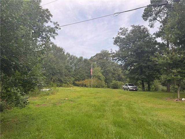 26354 C Jenkins Rd, Angie, LA 70426 - photo 26