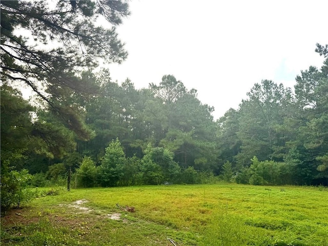 26354 C Jenkins Rd, Angie, LA 70426 - photo 28