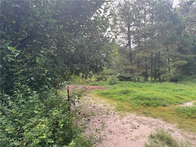26354 C Jenkins Rd, Angie, LA 70426 - photo 29