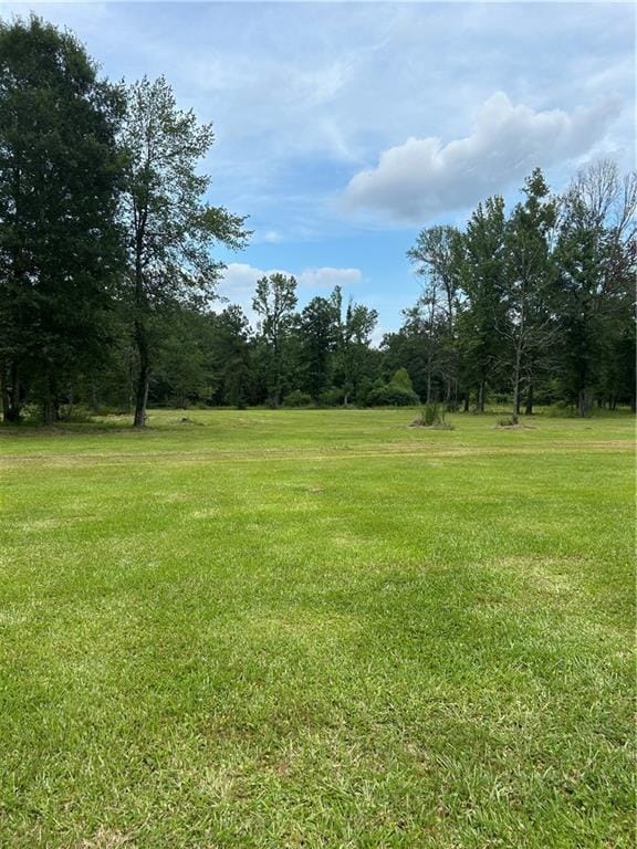 49102 Stafford Rd, Tickfaw, LA 70466 - photo 1