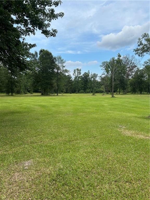 49102 Stafford Rd, Tickfaw, LA 70466 - photo 2