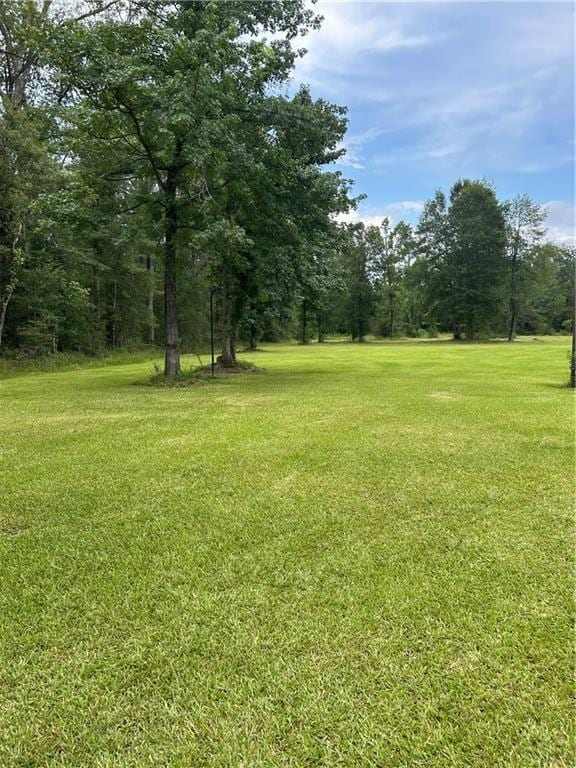 49102 Stafford Rd, Tickfaw, LA 70466 - photo 3