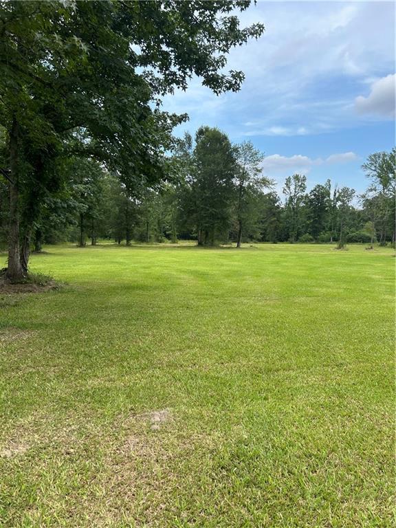 49102 Stafford Rd, Tickfaw, LA 70466 - photo 5