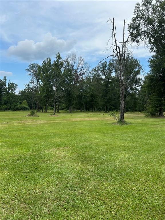 49102 Stafford Rd, Tickfaw, LA 70466 - photo 6