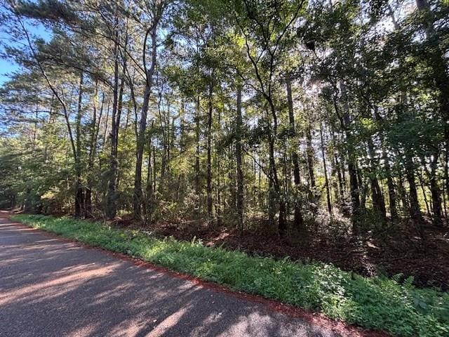 0 Kingbird St, Covington, LA 70435 - photo 1