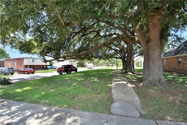 4429 Lake Vista Dr, Metairie, LA 70006 - photo 24