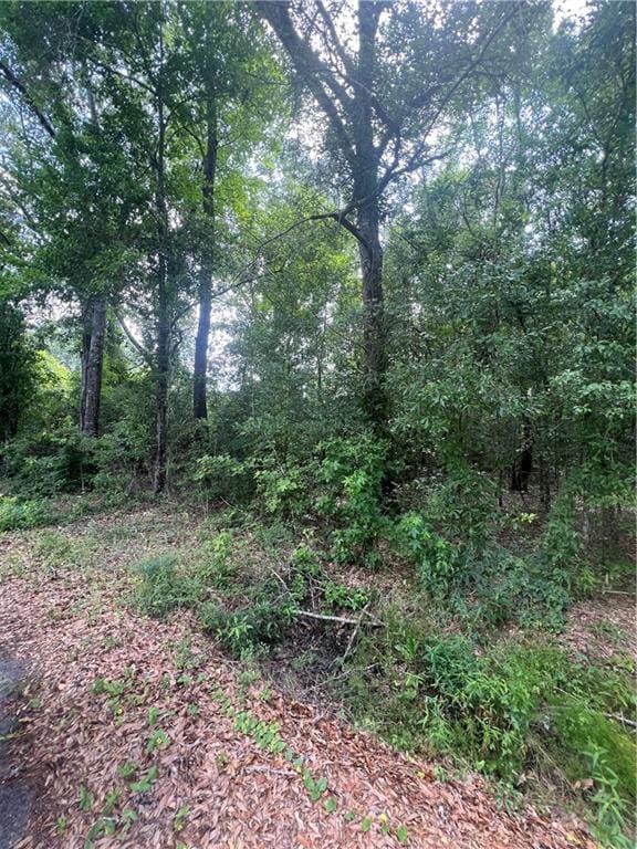 LOT1 Nola Ln, Bogalusa, LA 70427 - photo 2