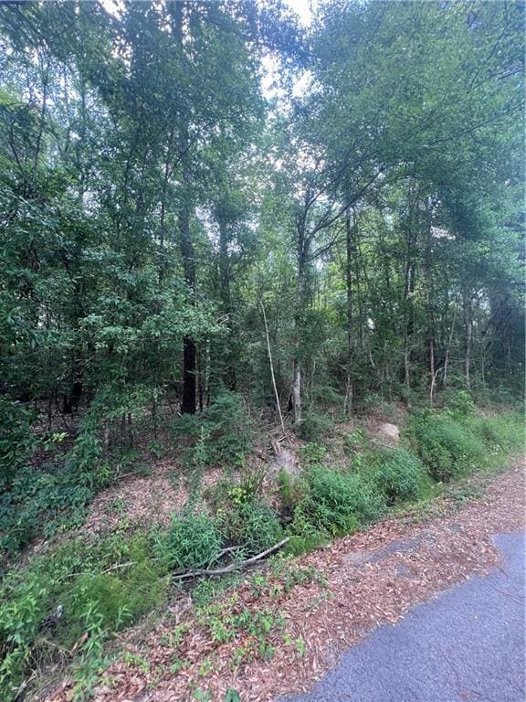 LOT1 Nola Ln, Bogalusa, LA 70427 - photo 3