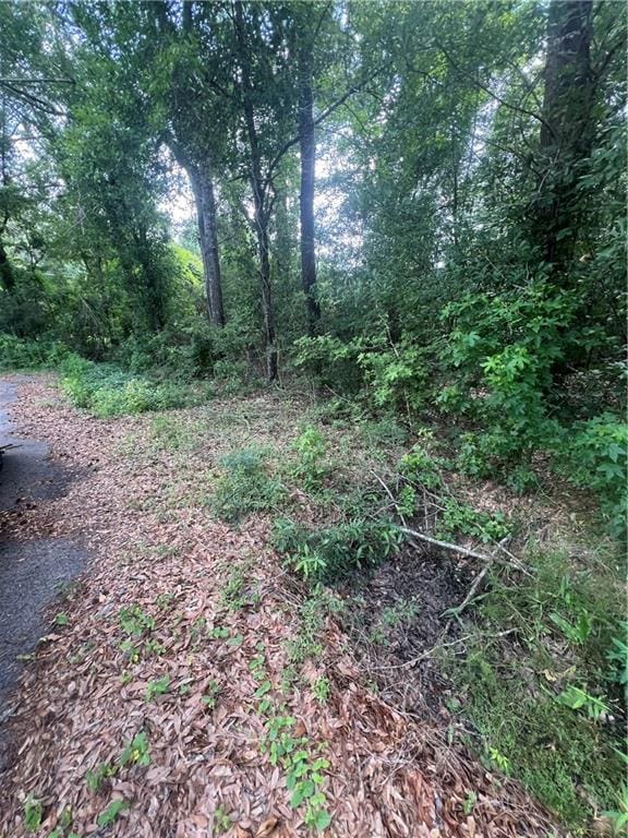 LOT1 Nola Ln, Bogalusa, LA 70427 - photo 4