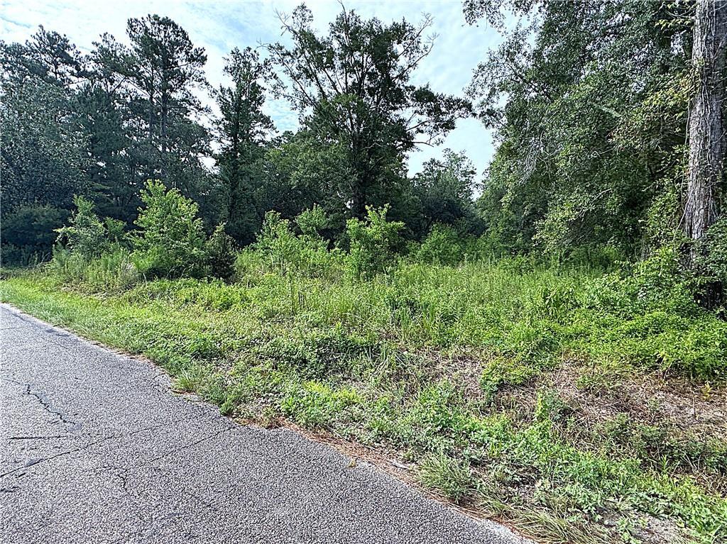 26126 Cloverland Rd, Lacombe, LA 70445 - photo 1