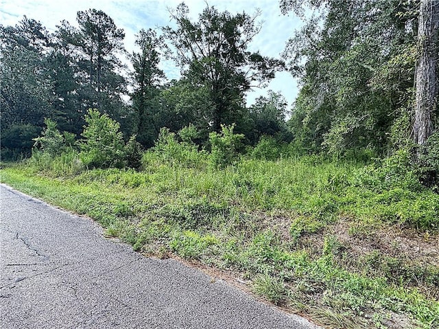 26126 Cloverland Rd, Lacombe, LA 70445 - photo 1