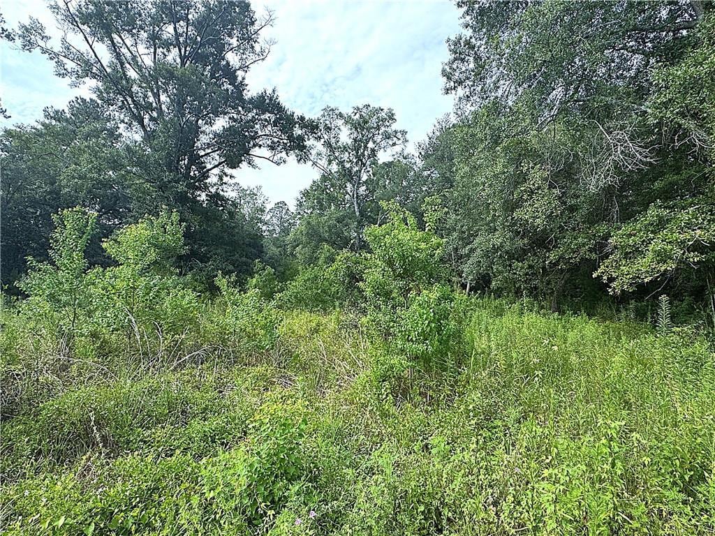 26126 Cloverland Rd, Lacombe, LA 70445 - photo 2