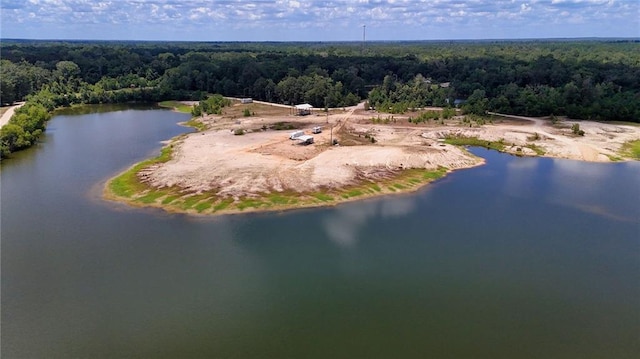 13841 Gage Ln, Franklinton, LA 70438 - photo 1